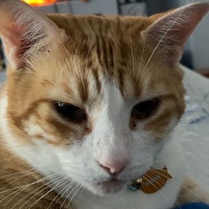 Meet your Posher, Sue